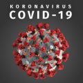 Informace ke koronaviru II