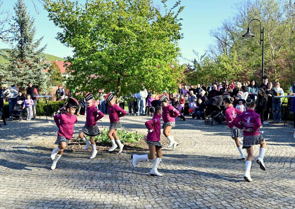DSC_3541.JPG