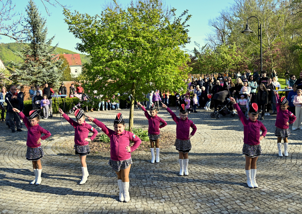 DSC_3537.JPG