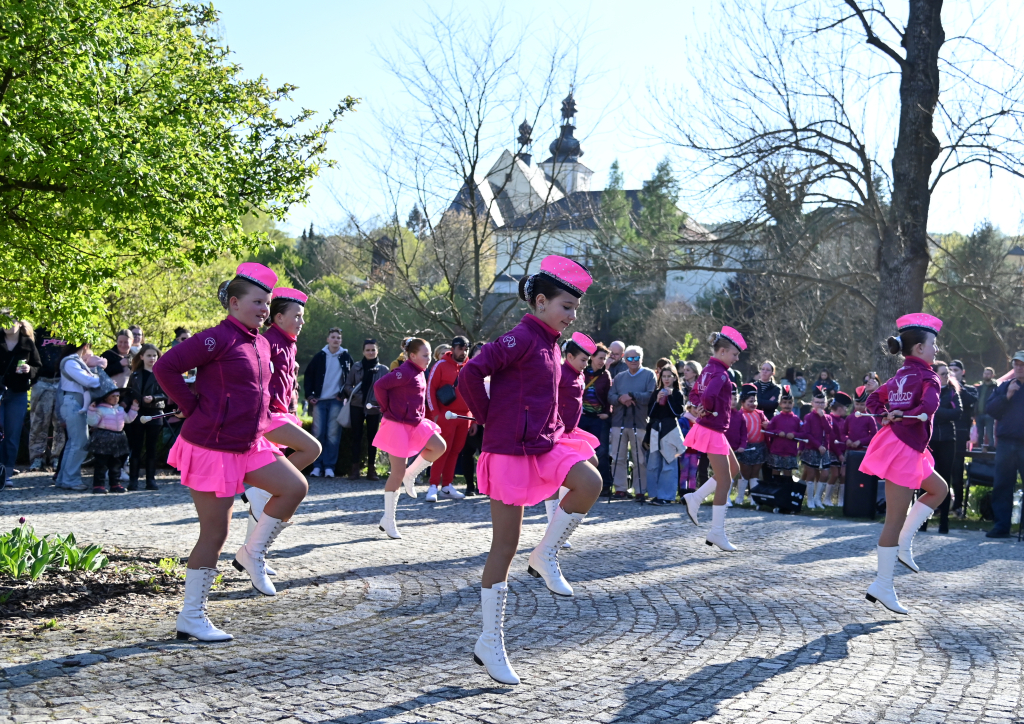 DSC_3528.JPG
