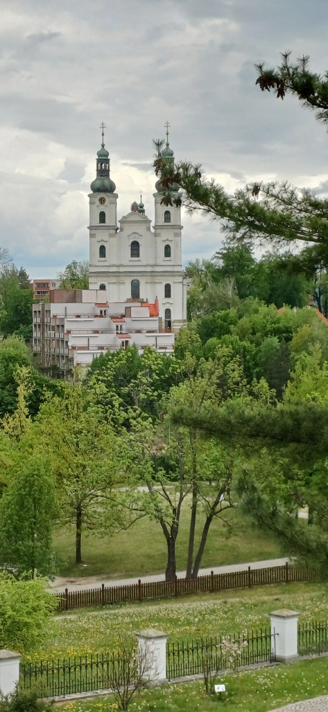 20260507_132657.jpg