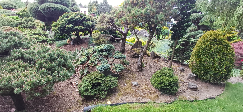 20260507_161419.jpg