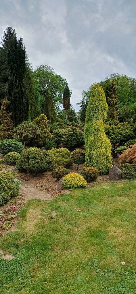 20260507_161652.jpg