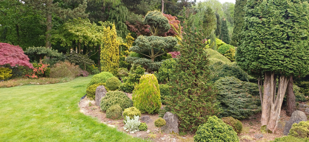 20260507_161824.jpg
