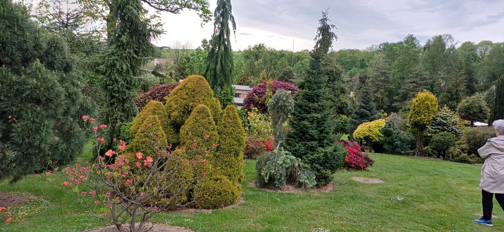 20260507_163514.jpg