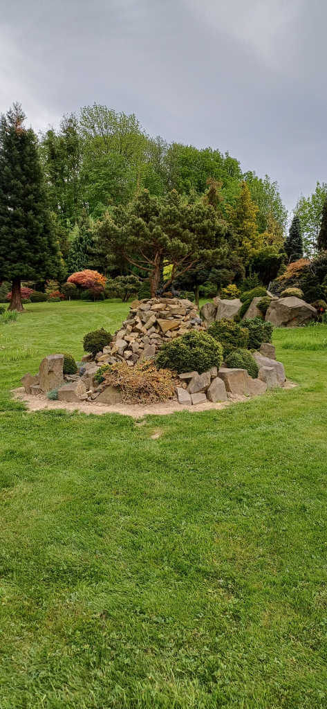 20260507_163714.jpg