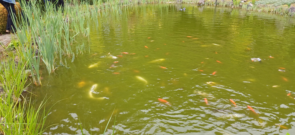 20260507_165301.jpg