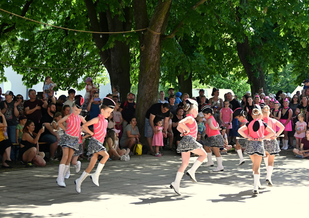 DSC_7775.JPG