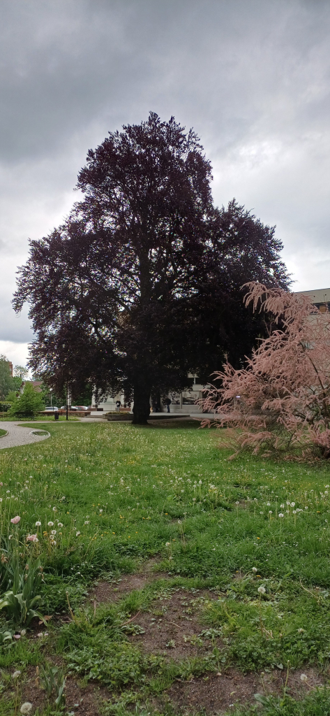 20260518_141205.jpg