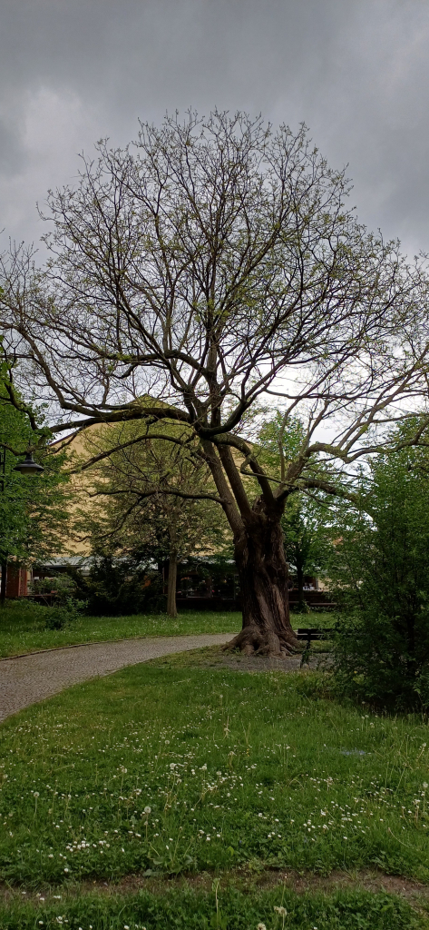 20260518_141248.jpg