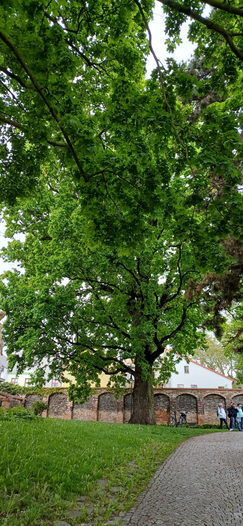 20260518_142548.jpg