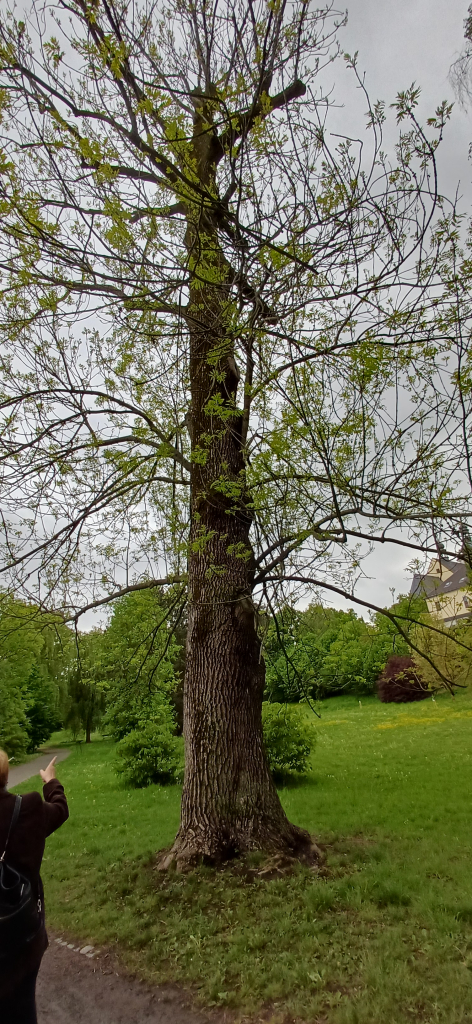 20260518_145420.jpg