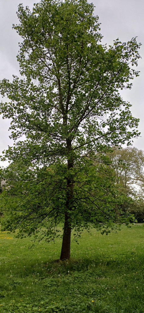 20260518_145803.jpg