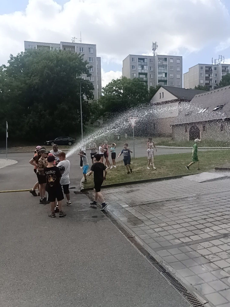 c25ccdf7-cb5c-4551-bca8-8095411ddabb.JPG