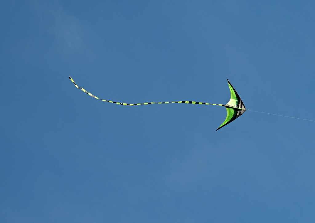 DSC_4805.JPG