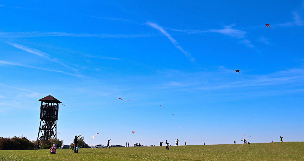 DSC_4916.JPG
