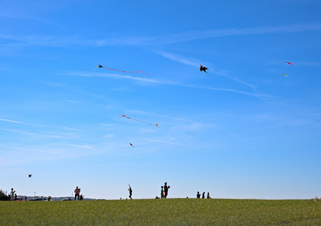 DSC_4926.JPG