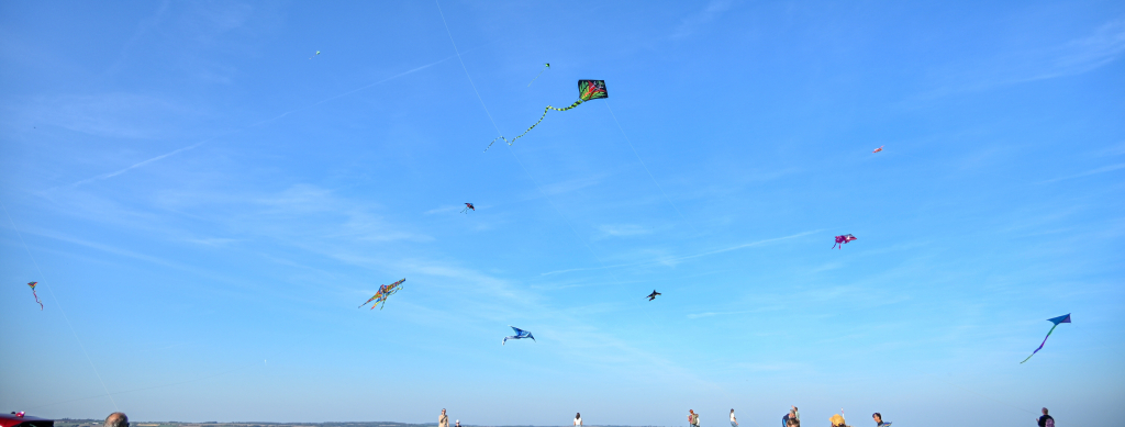 DSC_5233.JPG