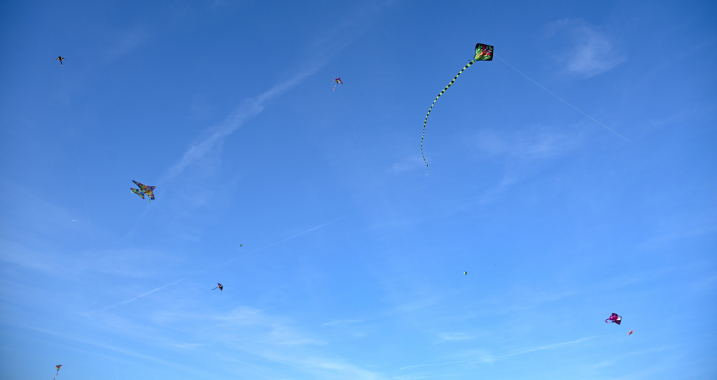 DSC_5228.JPG