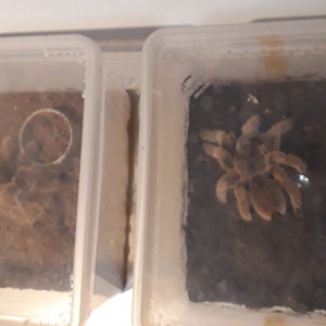 20181030_095431.jpg