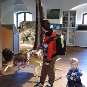 20181030_102538.jpg