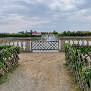 20230608_113442.jpg