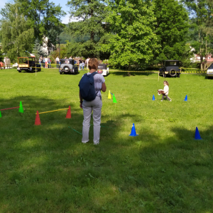 IMG_20230610_164542.jpg