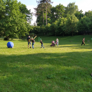 IMG_20230610_174551.jpg