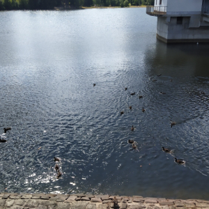 IMG_20230711_100200.jpg