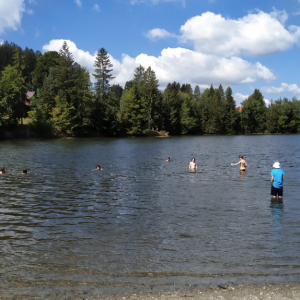 IMG_20230711_105437.jpg