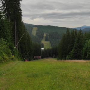 IMG-20230713-WA0010.jpg