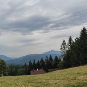 IMG-20230713-WA0002.jpg