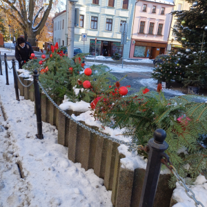 20231130_094359.jpg