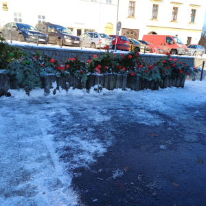 20231130_094550.jpg