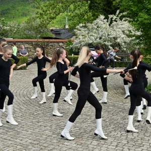 DSC_2498.JPG