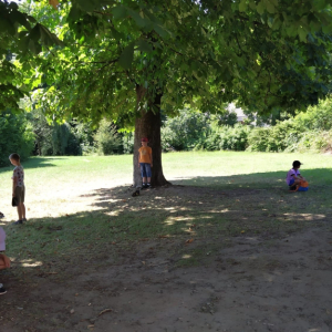 IMG-20250722-WA0044.jpg