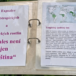 20250605_124620.jpg