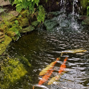 20250605_125051.jpg