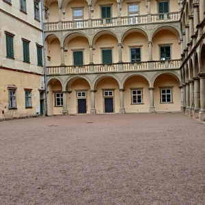 20250522_123132.jpg